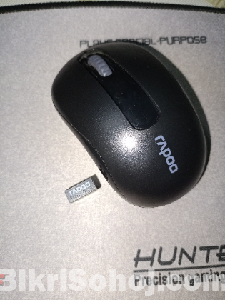 Rapoo Wireless Mouse